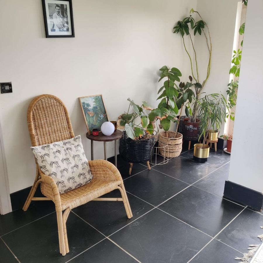 Cedarblue Bed and Breakfast Dungarvan  Εξωτερικό φωτογραφία