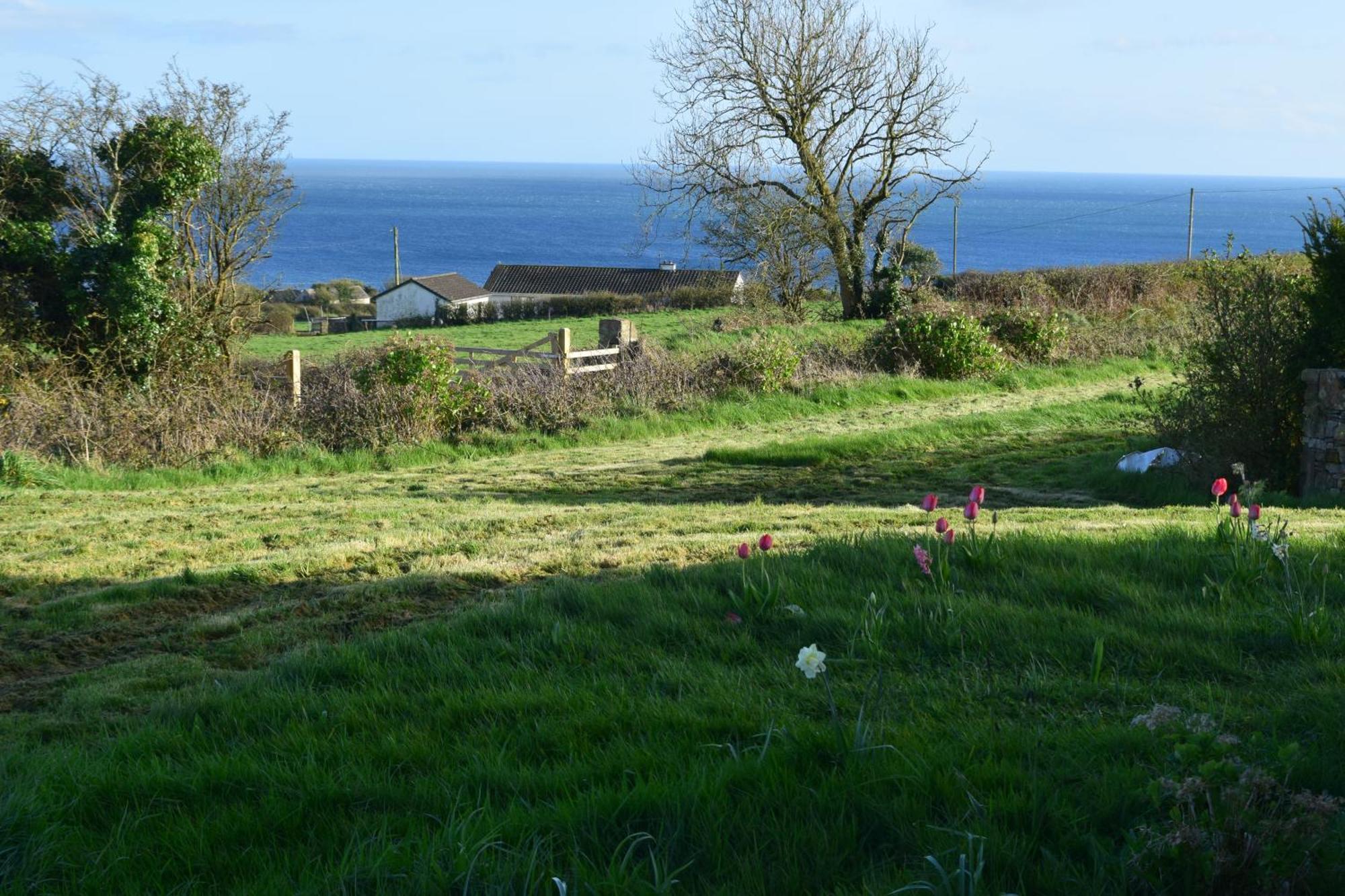 Cedarblue Bed and Breakfast Dungarvan  Εξωτερικό φωτογραφία